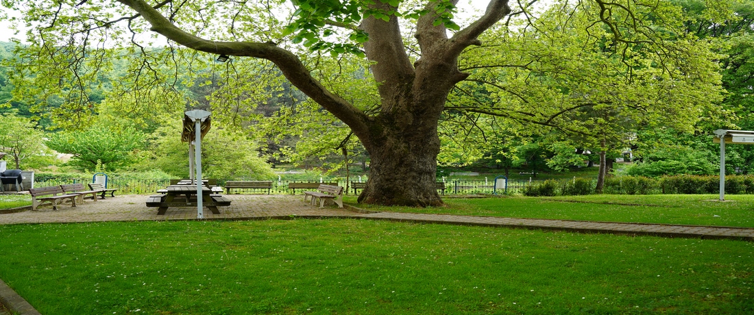 Köyümüzün Piknik Alanı