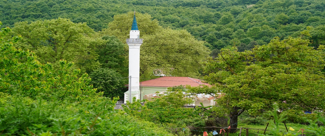 Köyümüzün Cami